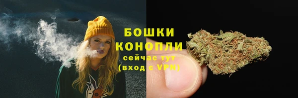 дживик Белоозёрский