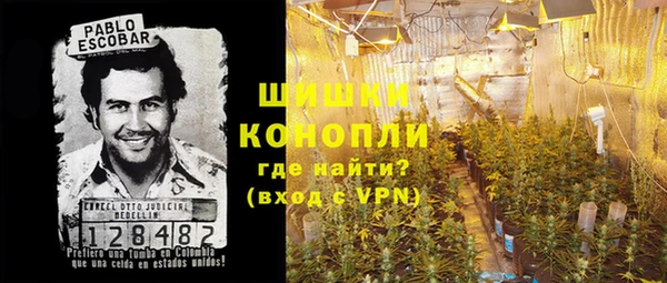 mdpv Белокуриха