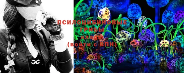 mdpv Белокуриха