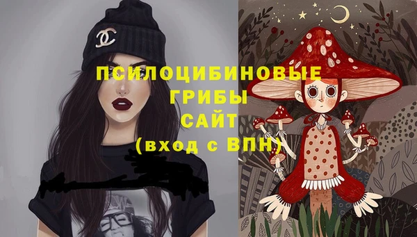 дживик Белоозёрский