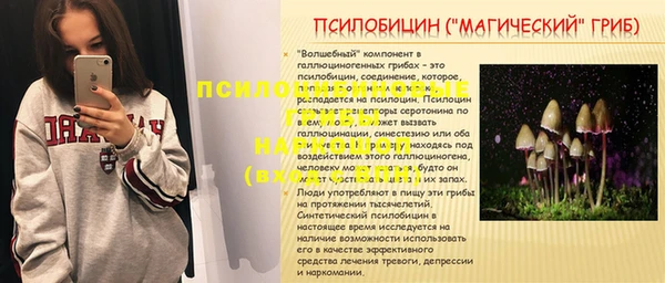 дживик Белоозёрский