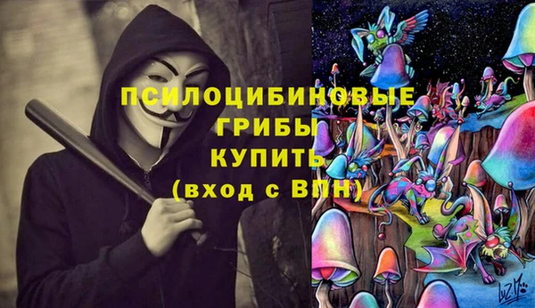 дживик Белоозёрский