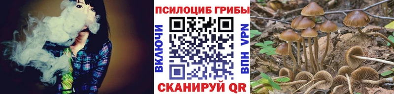 Псилоцибиновые грибы Magic Shrooms Курчалой